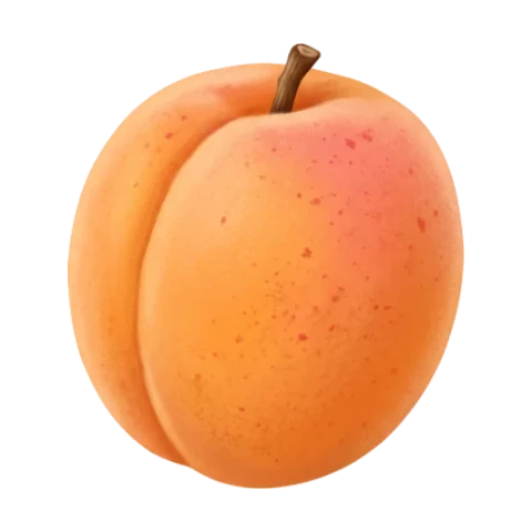 Abricot