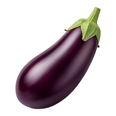 Aubergine