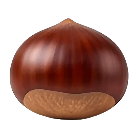Chestnut