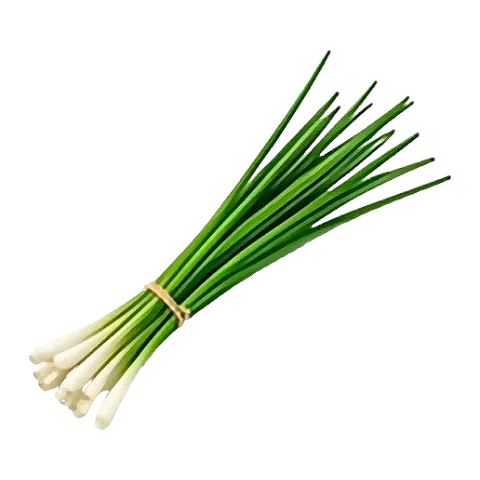 Chives