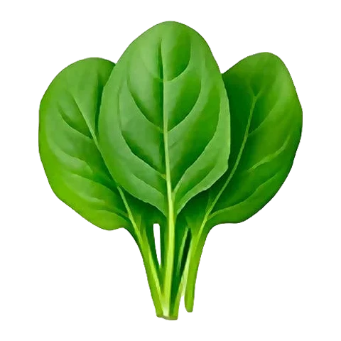 Spinach