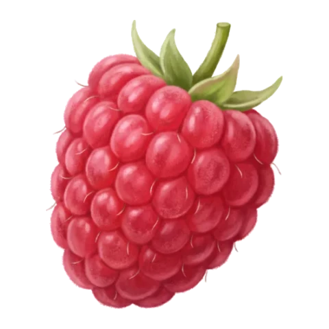 Raspberry