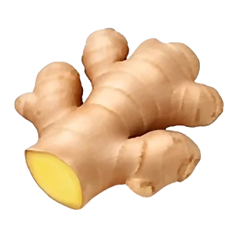 Ginger