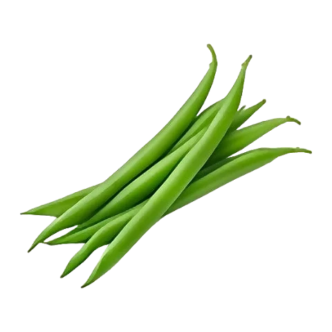 Green bean
