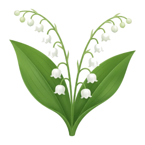 Muguet