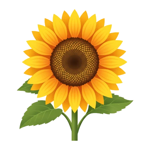 Tournesol