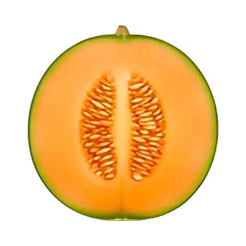 Melon