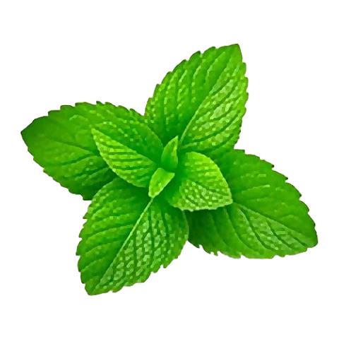 Mint