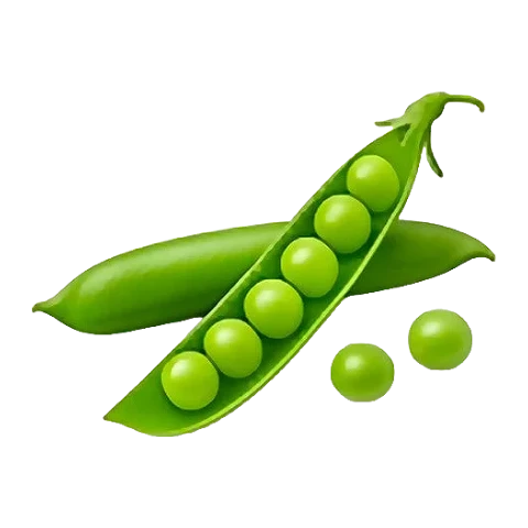 Pea