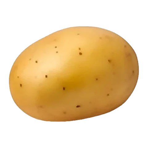 Potato