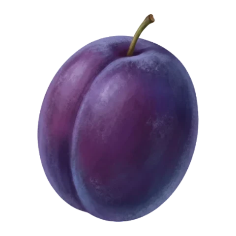 Prune