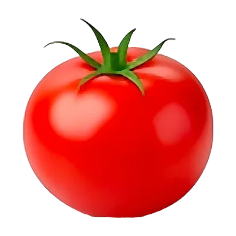 Tomato
